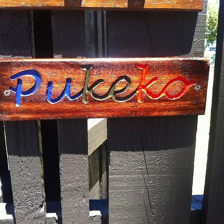 Pukeko On Bay Apartment Tauranga Exterior photo